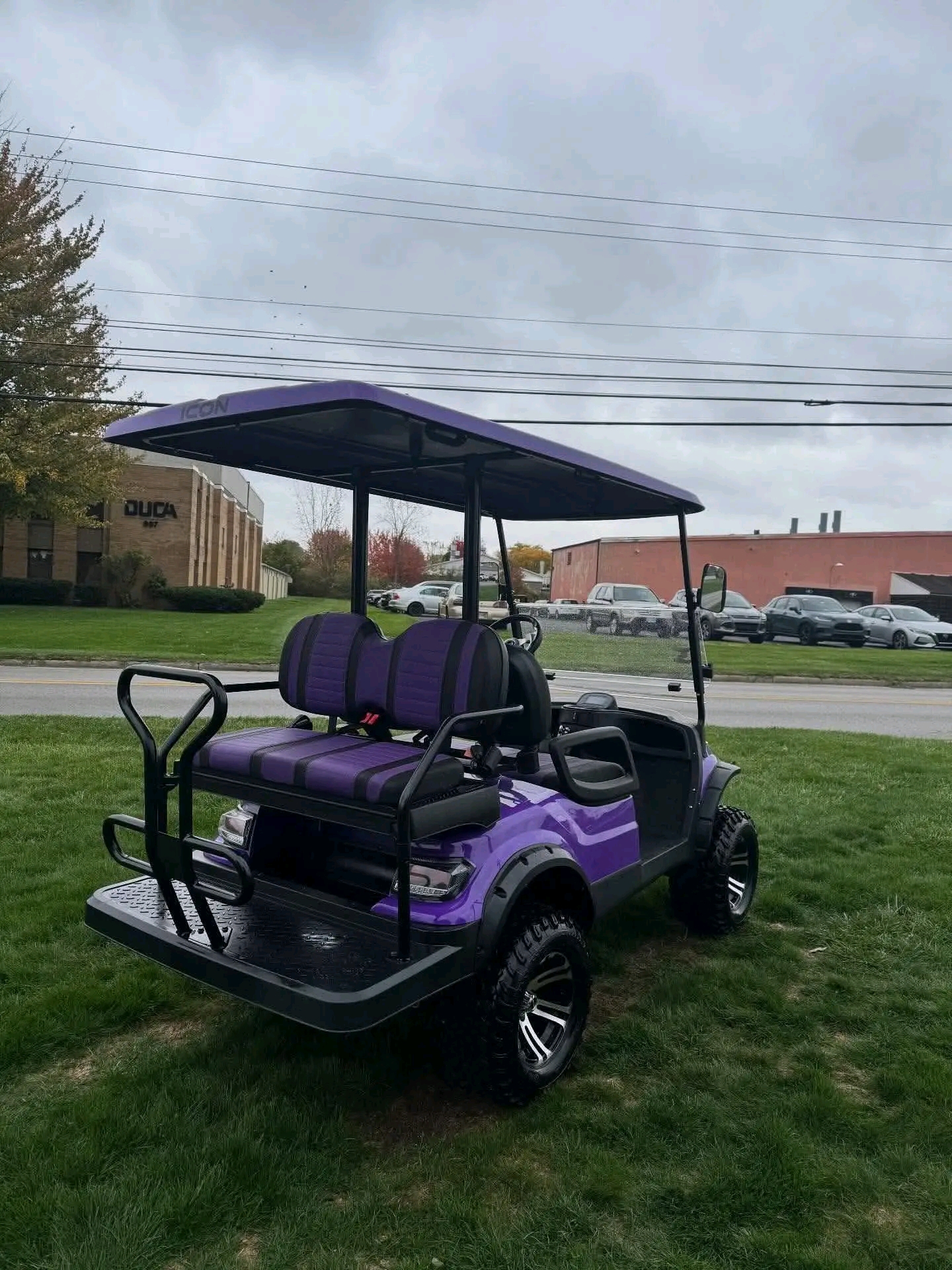 2020 lcon 140L Lithium Electric Golf Cart. Very unique OEM Purple Exterior