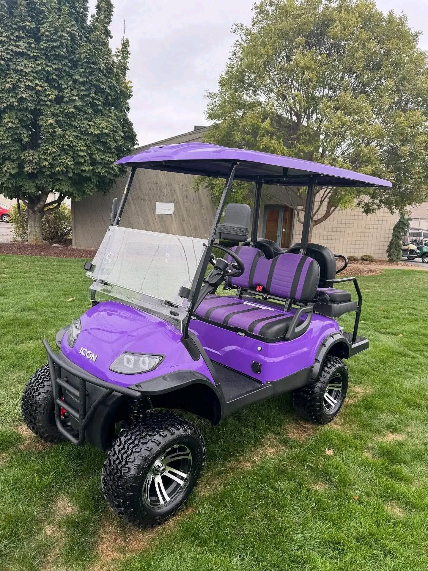 2020 lcon 140L Lithium Electric Golf Cart. Very unique OEM Purple Exterior